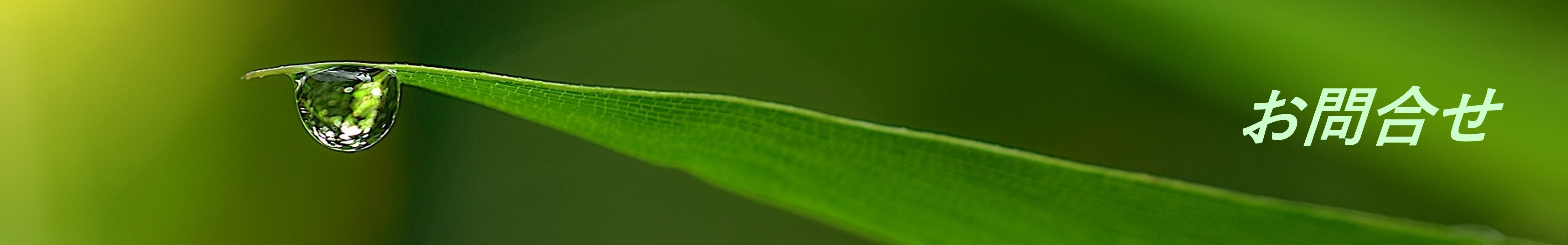 Contact ヘッダー画像